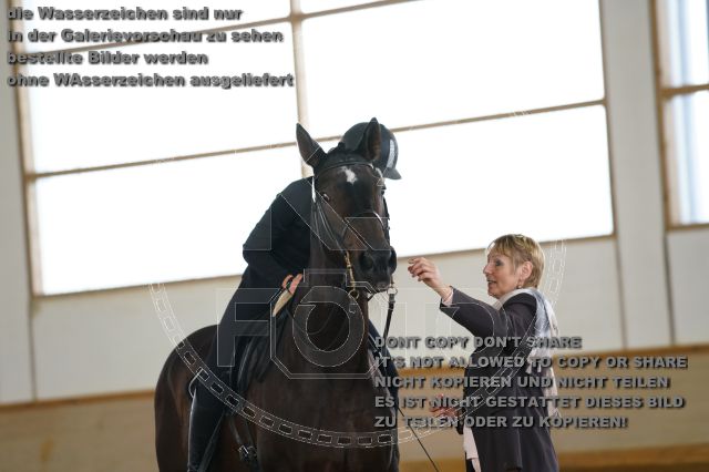 s_K3F00937.JPG